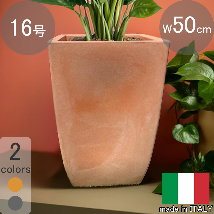 テラコッタ スクエア 鉢」の人気商品一覧 | 安い商品を通販サイトから