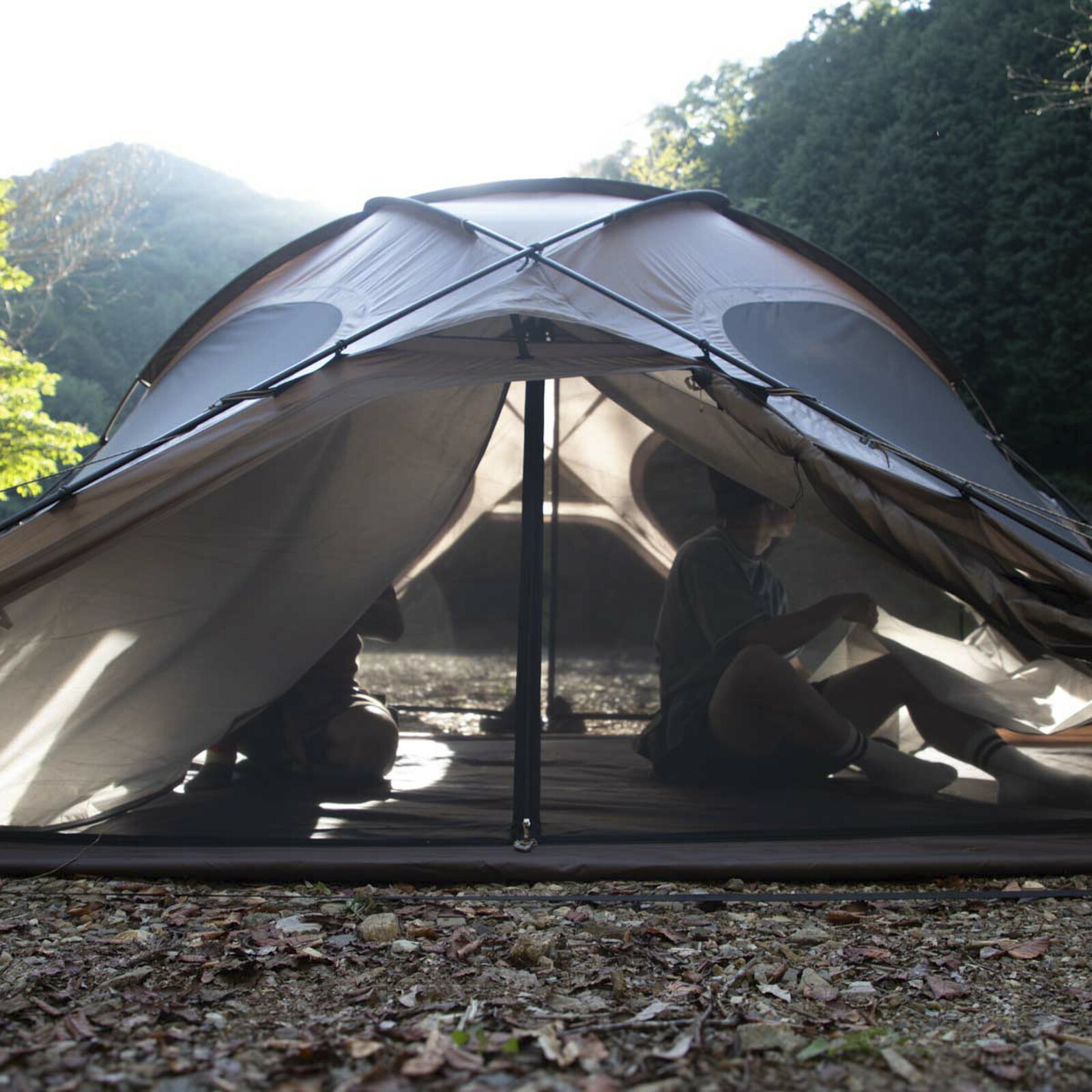 楽天市場】FELSEN -5th ANNIVERSARY LTD-(フェルセン 5周年記念