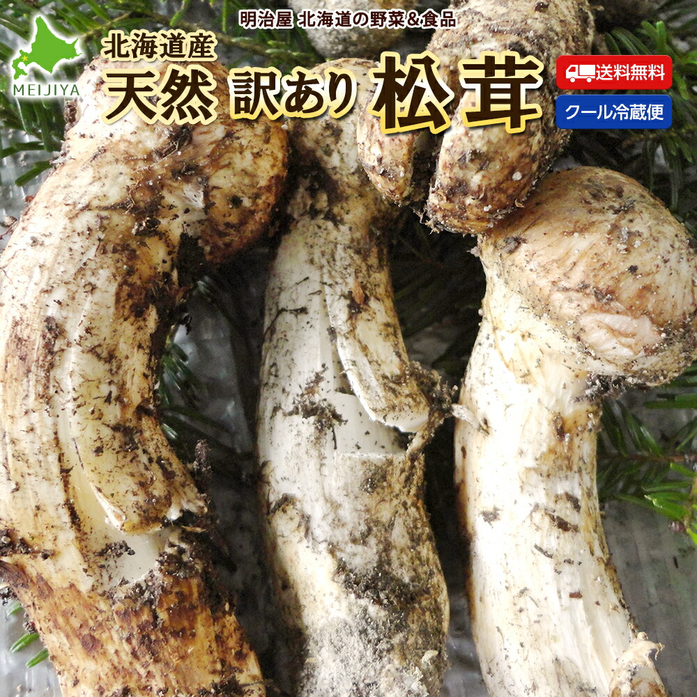 松茸 北海道 500g 訳あり ② 国産 matsutake0831_01.jpg