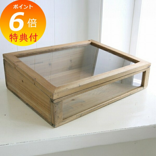 楽天市場】【特典付き】 ラスティパイン・ガラスケース L コベント