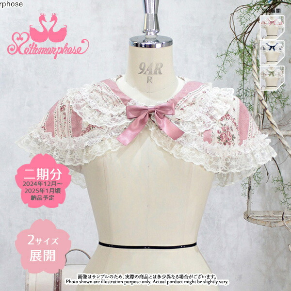 楽天市場】【予約】【2期：2024年12月～2025年1月頃入荷