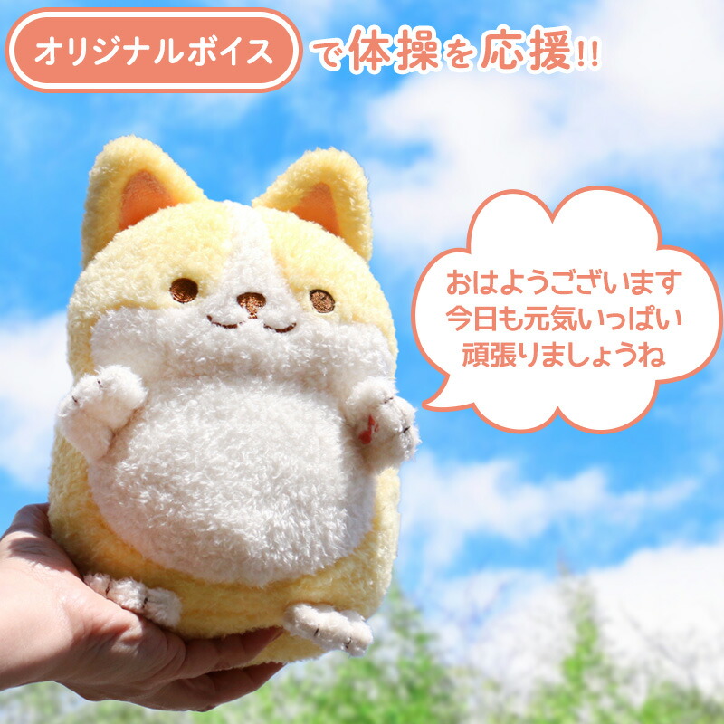 楽天市場】【楽天スーパーSALE】 マザーガーデン 一緒に体操！元気な