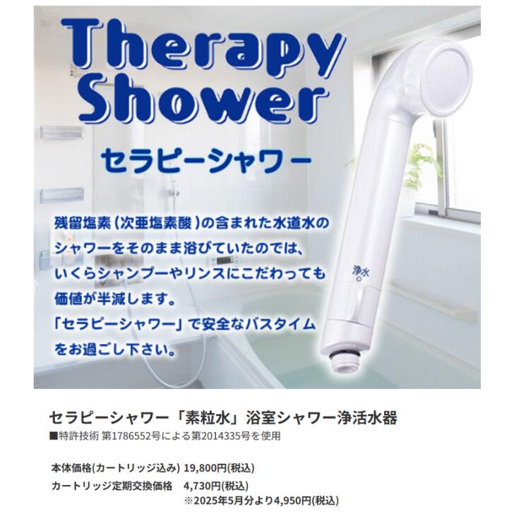 楽天市場】＼楽天3位受賞／【期間限定ポイント10倍☆】 2つの