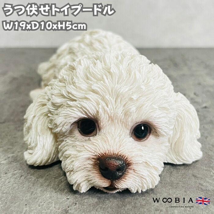 楽天市場】トイプードル 置物（カラーホワイト）の通販