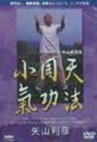 楽天市場】矢山式気功法 大周天の通販