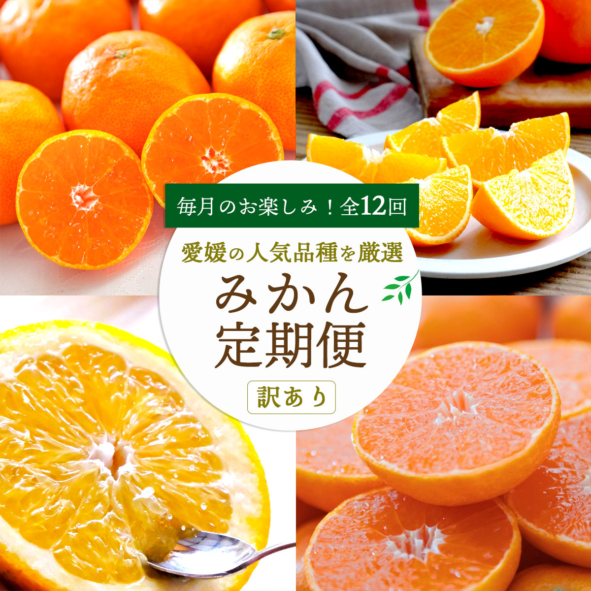 楽天市場】みかん 定期便 頒布会 全12回 訳あり ご家庭用 愛媛産 高級