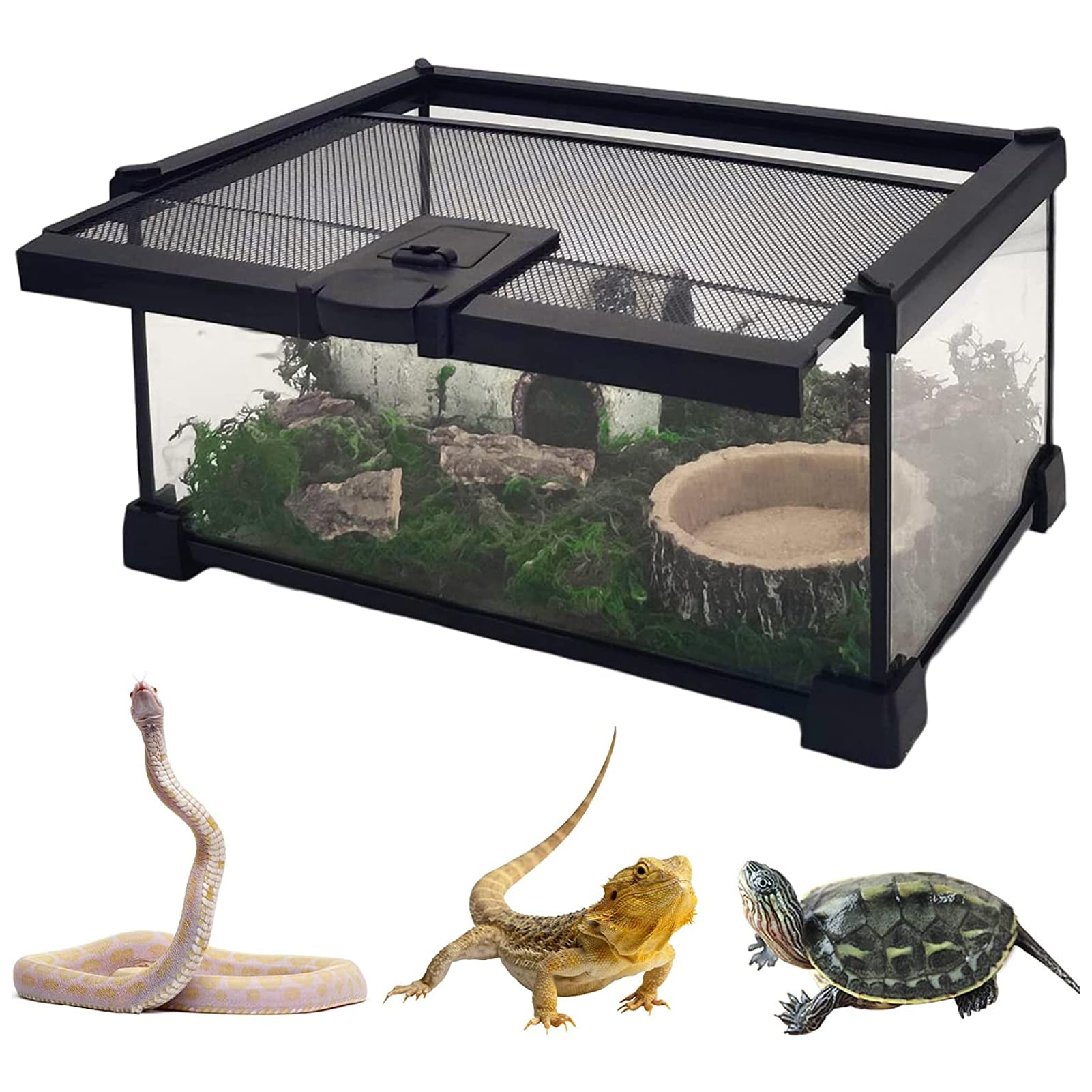 楽天市場】爬虫類 ケージ 飼育ケージ 両生類 トカゲ ケージ 爬虫類