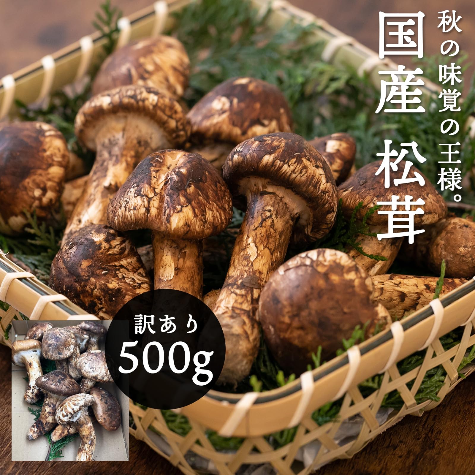 楽天市場】国産 松茸 訳あり 家庭用 100g 200g 300g 400g 500g 1kg