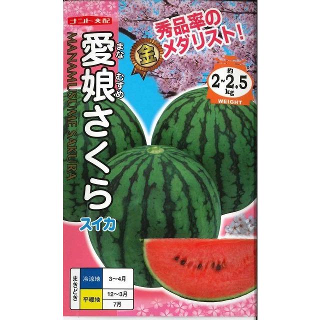 楽天市場】小玉スイカ種【 愛娘さくら 】ナント種苗 : みつのぶ