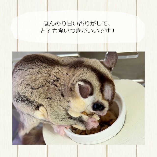 楽天市場】ジクラアギト フクロモモンガ専用フード 340g ottimo15