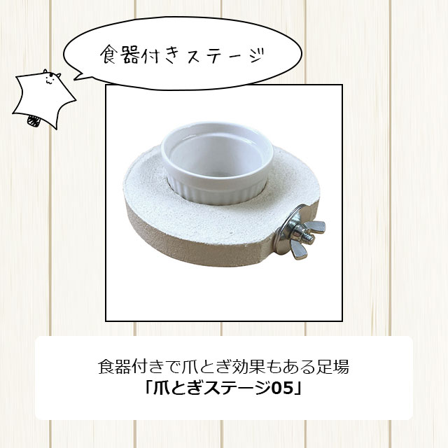 楽天市場】フクロモモンガの飼育初心者セット01 基本の飼育用品セット