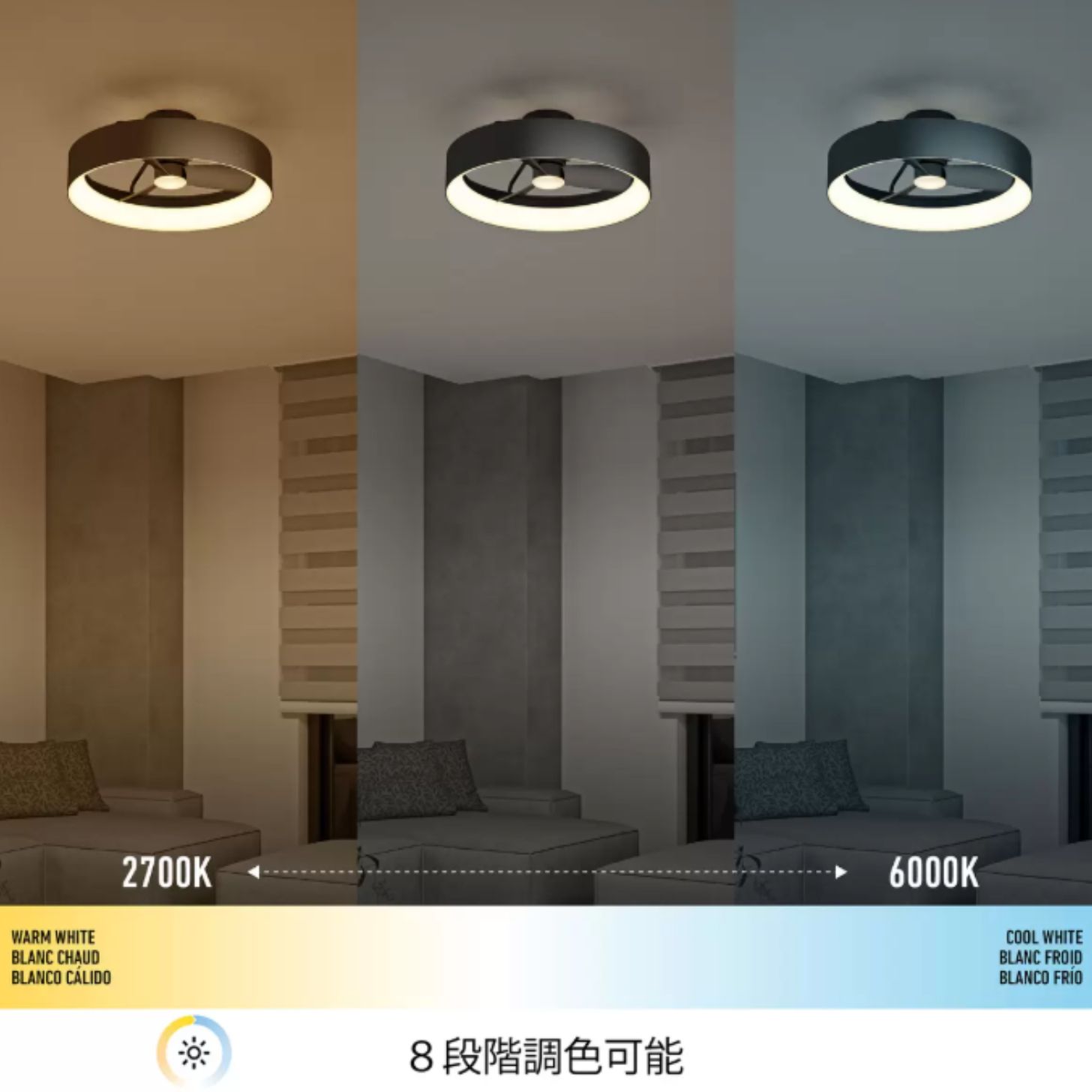 楽天市場】数量限定レビューキャンペーン目玉品（※商品レビュー必須