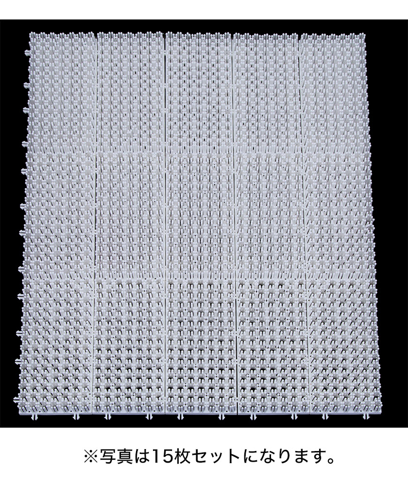 楽天市場】シバカツ スタンダードセット 15枚セット スノボオフトレ