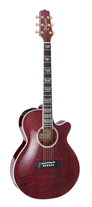 アコースティックギター takamine エレアコ タカミネ」の人気商品一覧