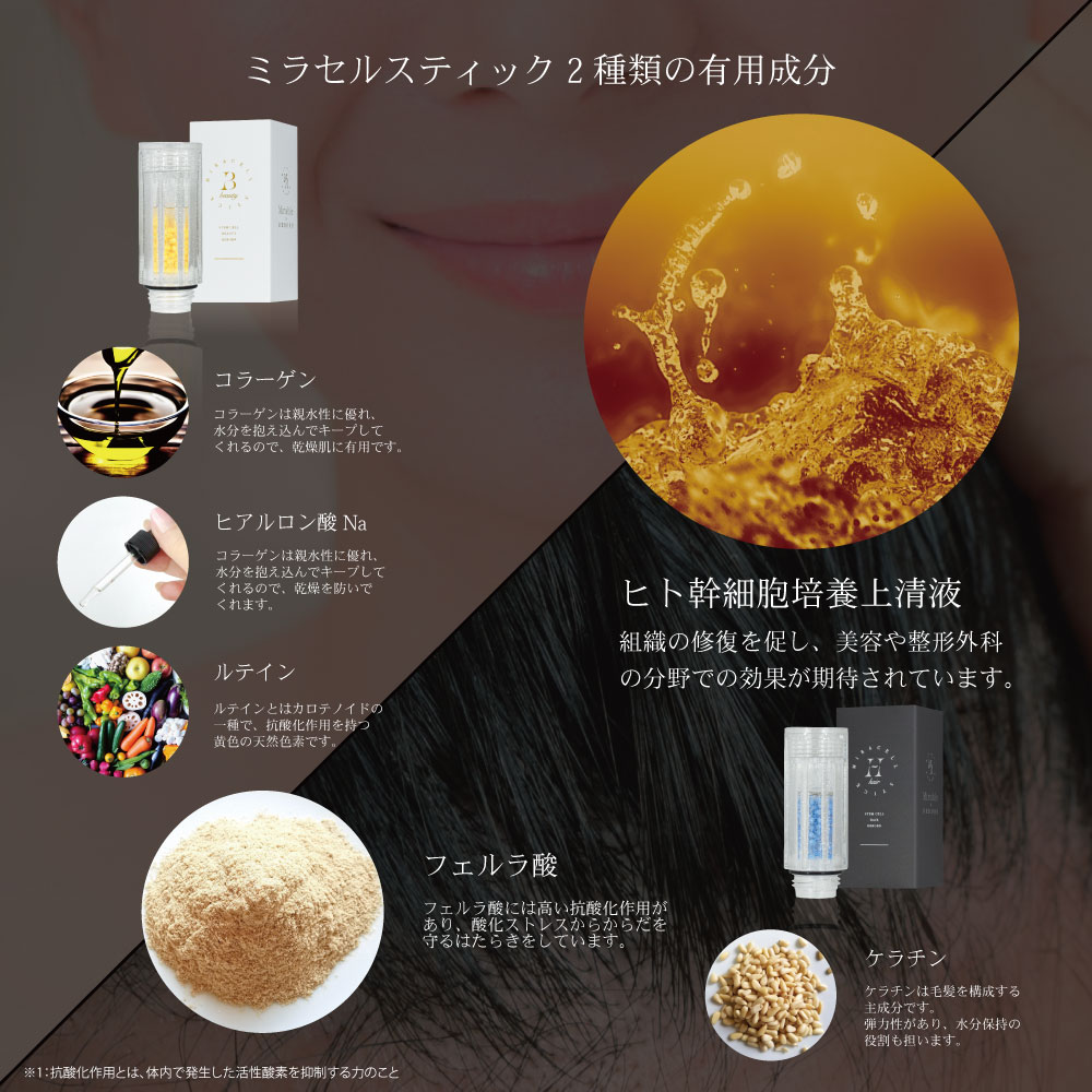 楽天市場】ミラブルリボーン｜Mirable Reborn ｜シャワーヘッド