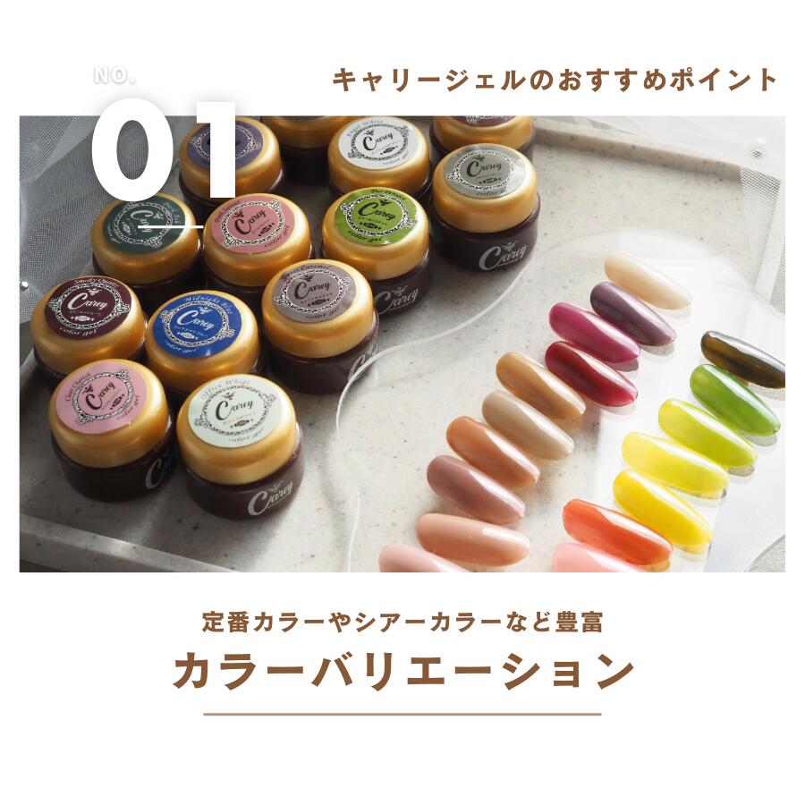 楽天市場】カラージェル 選べる10個セット 3g ネイル ジェルネイル