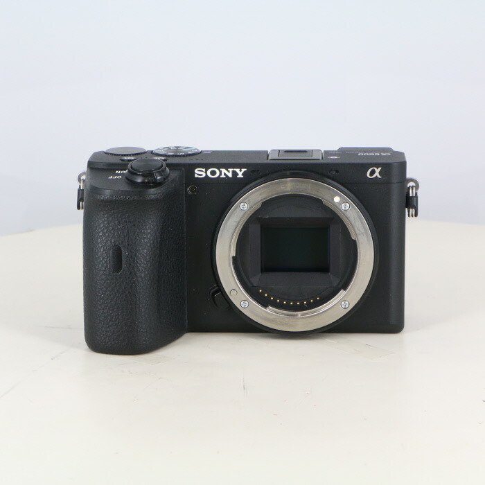 楽天市場】sonyα6600の通販