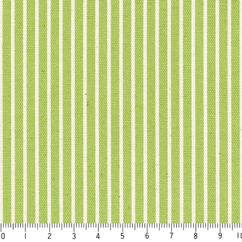 楽天市場】ストライプ 3.5ミリ 5450-26 サラダグリーン ストライプ
