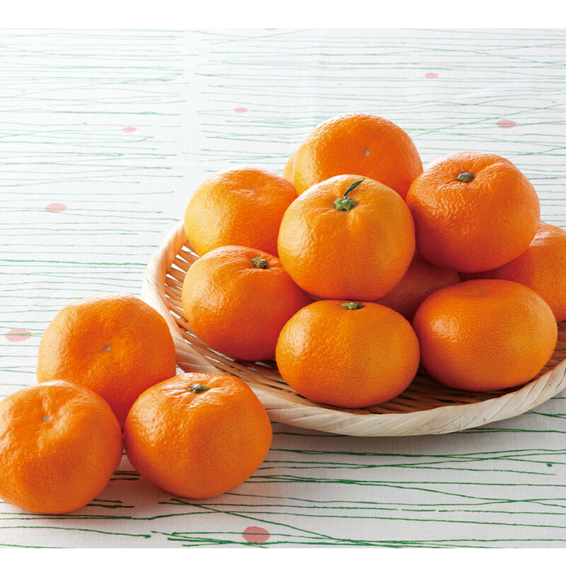 楽天市場】【2025/12/1〜12/15お届け】 静岡県産 三ケ日 みかん 約3kg