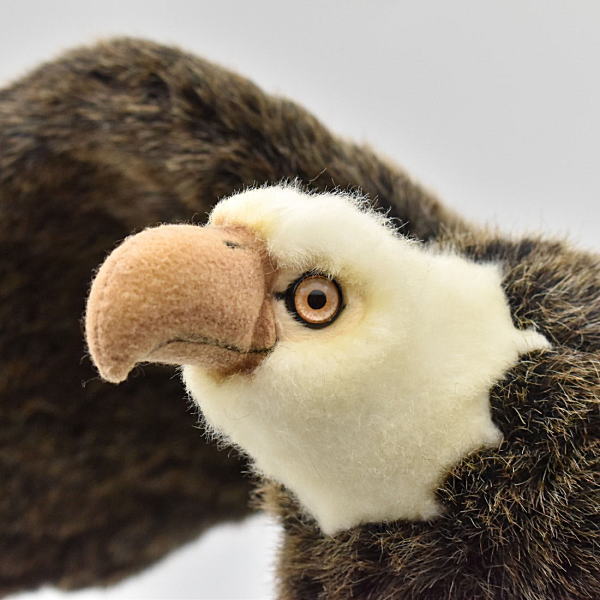 楽天市場】ハンサ【HANSA】リアルぬいぐるみハクトウワシ 70cm