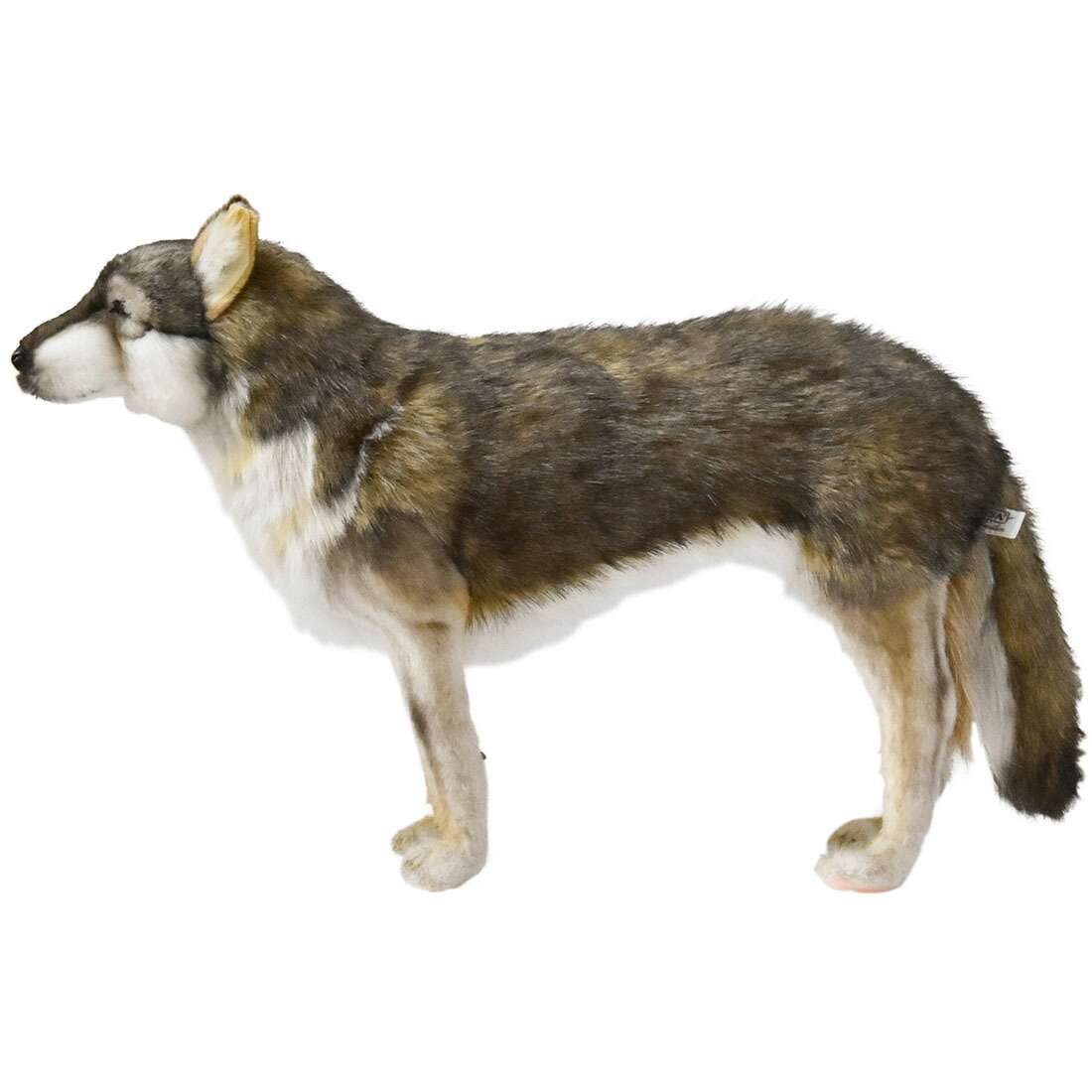 楽天市場】ハンサ【HANSA】リアルぬいぐるみ オオカミ60 : ナチュラル