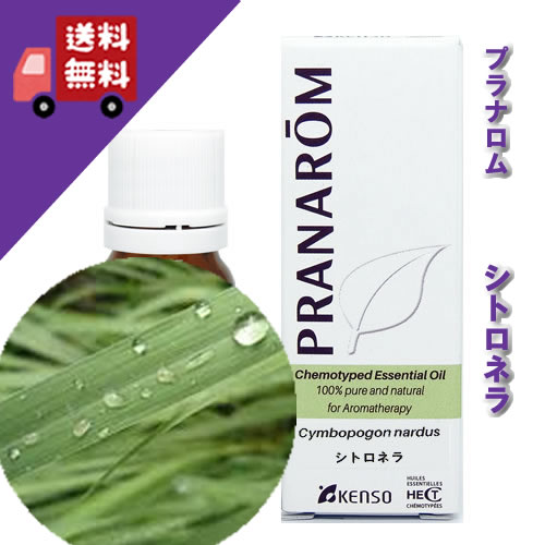 楽天市場】プラナロム ジャスミンの通販