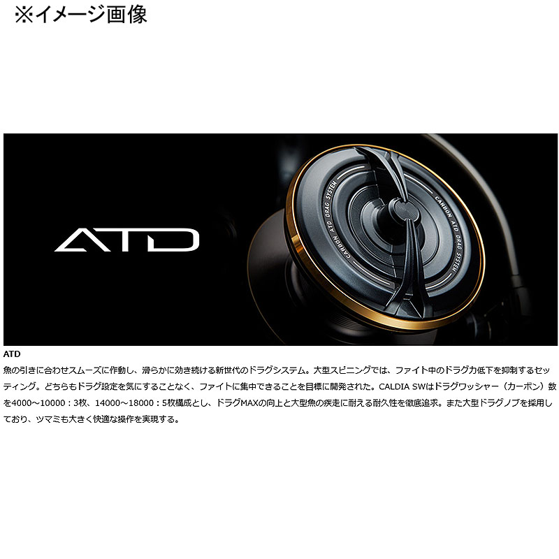 楽天市場】 ダイワ(Daiwa) 22 CALDIA(カルディア) SW 10000-P 00065172