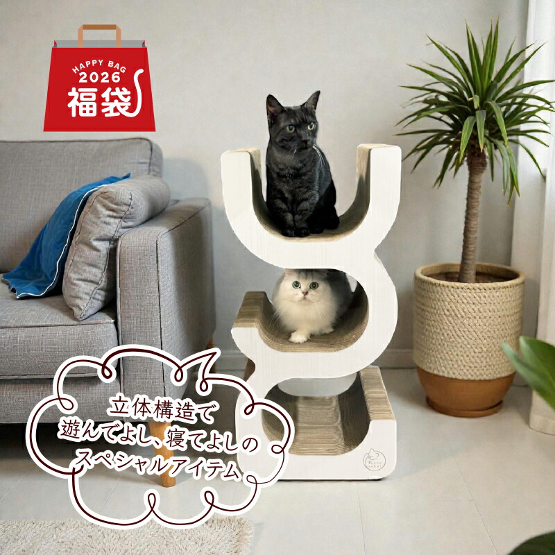 楽天市場】【12/30(火)12:00~ 第2回販売開始】☆送料無料☆ 2026