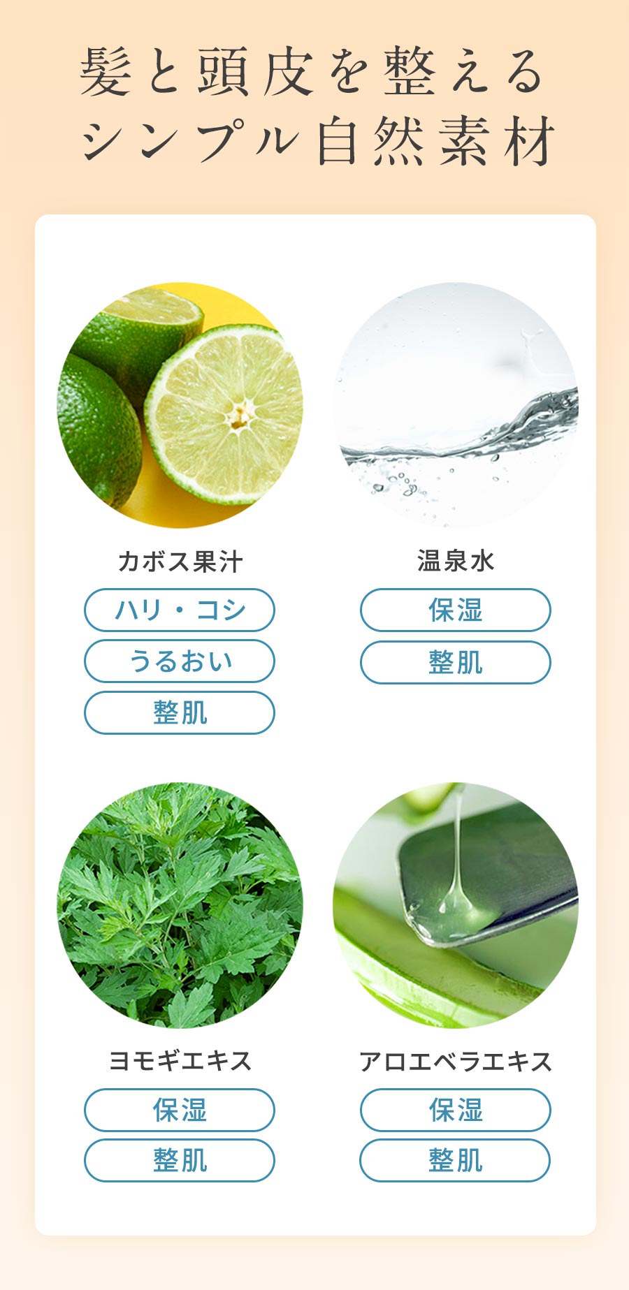 楽天市場】［無添加 石けんシャンプー］池田さんの石けん かぼすの