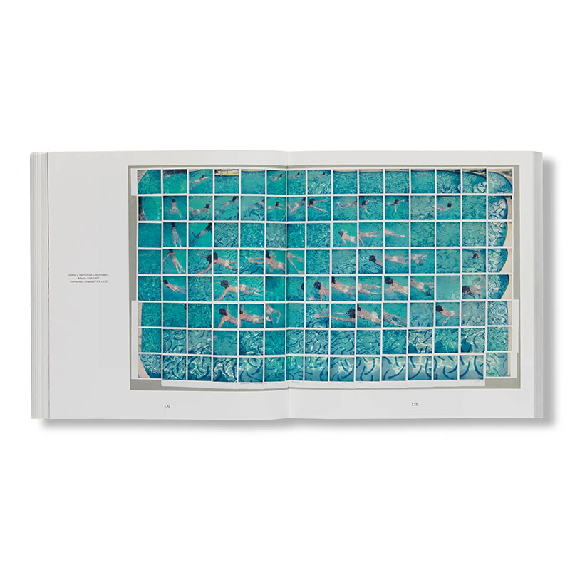 楽天市場】デイヴィッド・ホックニー 作品集 洋書 DAVID HOCKNEY