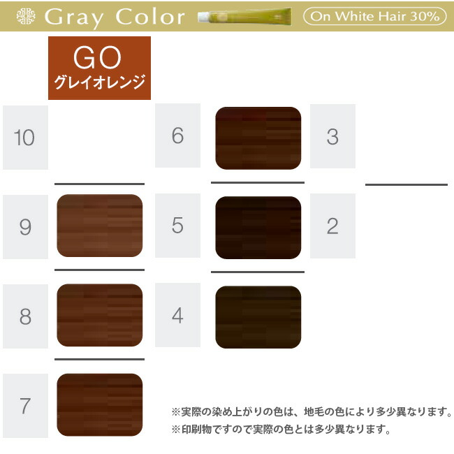 楽天市場】ホーユー プロステップ グレイカラー 第1剤 GO グレイ