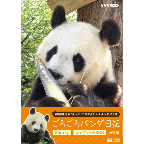 楽天市場】ネコメンタリー猫も、杓子も。2 DVD 全2枚 : NHKスクエア