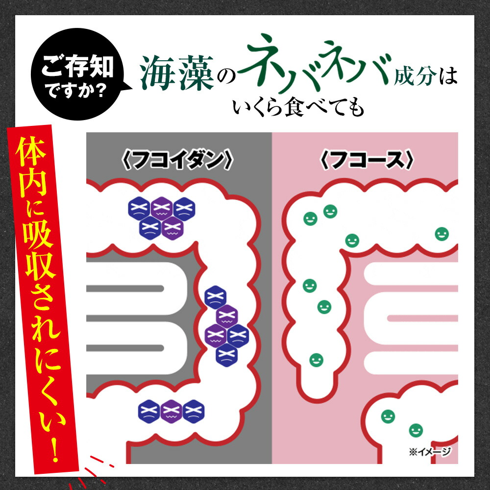 楽天市場】【公式】フコジー 3袋セット Fucozy ニコリオ NICORIO 機能