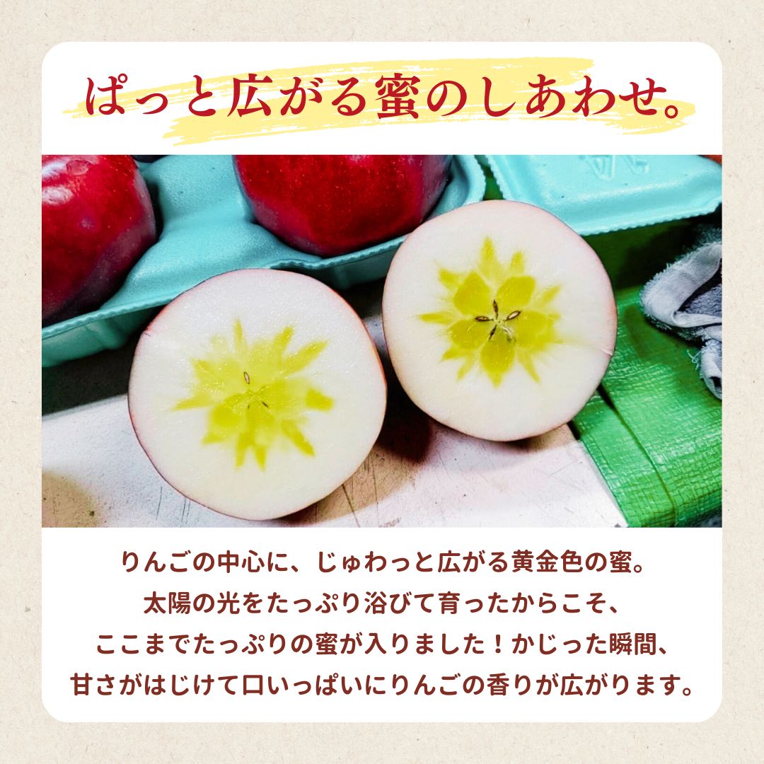 楽天市場】りんご 【ふんどのりんごや】 オリジナル品種 いわせっ娘