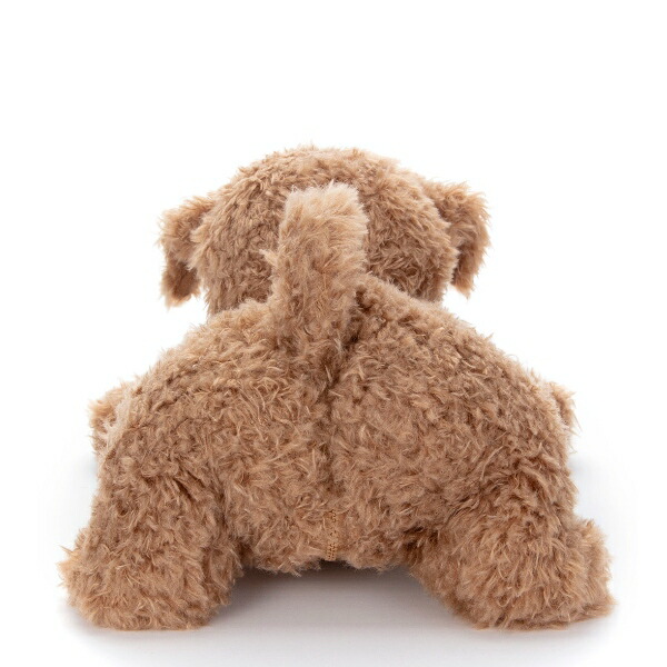 楽天市場】もっとおりこうダッキー すぐ使える 電池4本付 タカラトミー