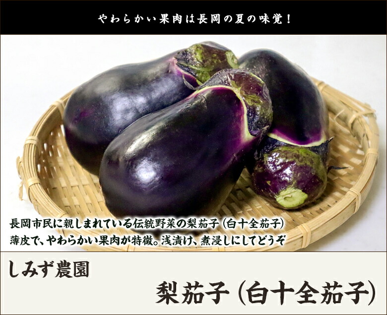 楽天市場】梨茄子（白十全茄子）「20個入り」or「30個入り」 しみず