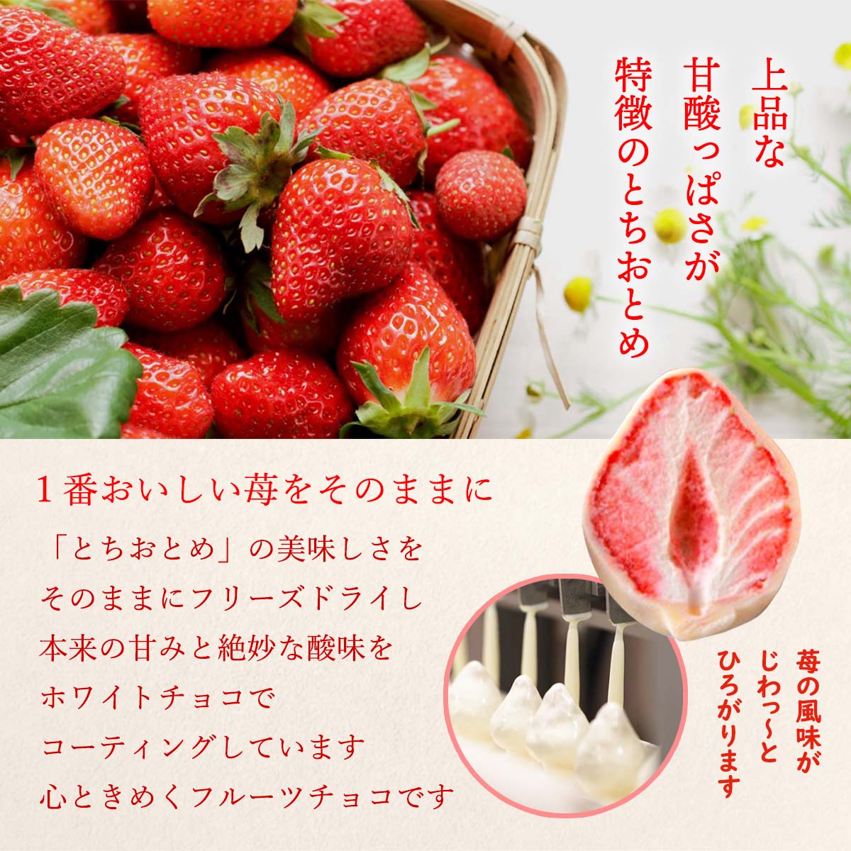 楽天市場】[静風] いちご菓子 恋するいちご 10個 赤箱入り /いちご王国