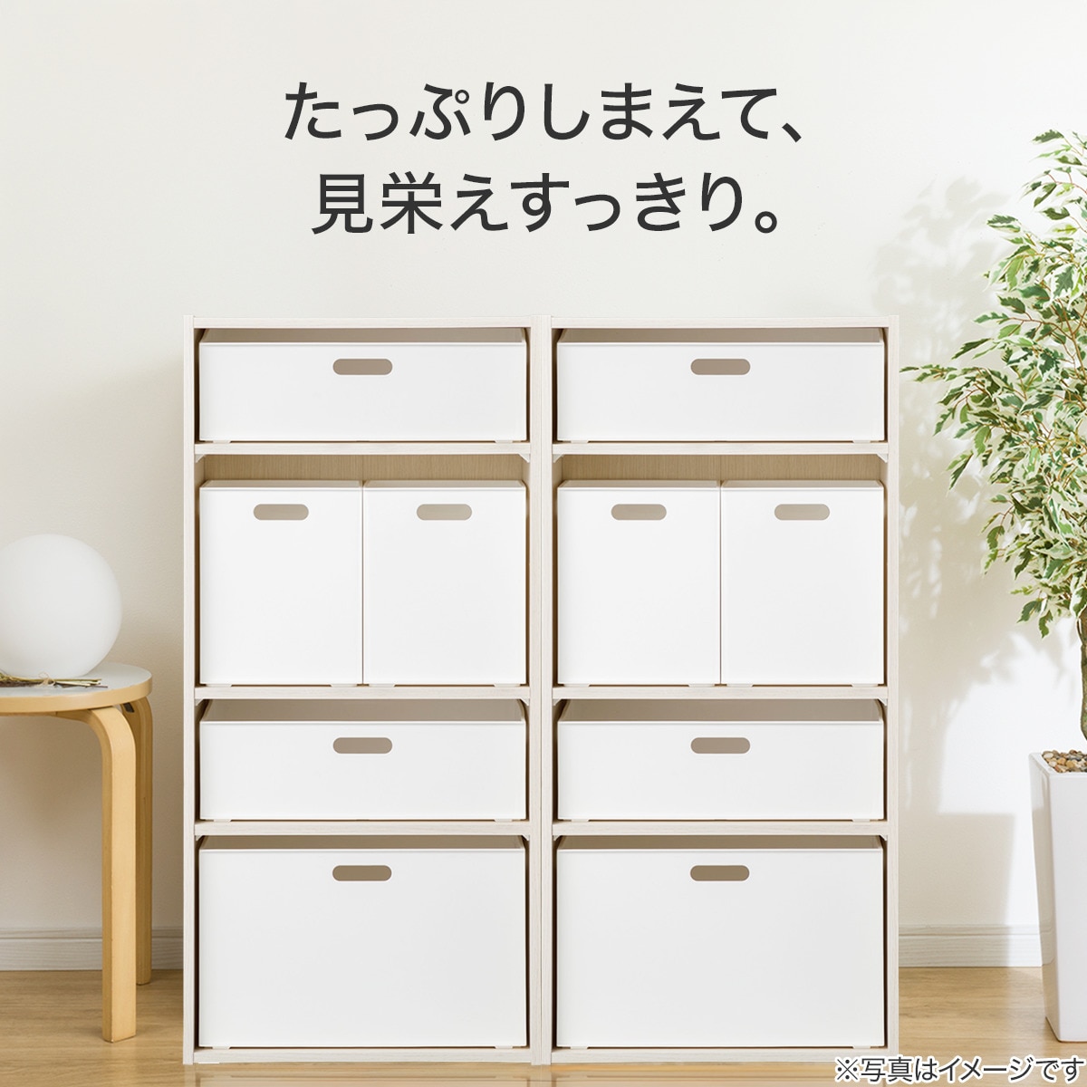 楽天市場】【セット】連結できるNカラボレギュラー ニトリ 【玄関先迄