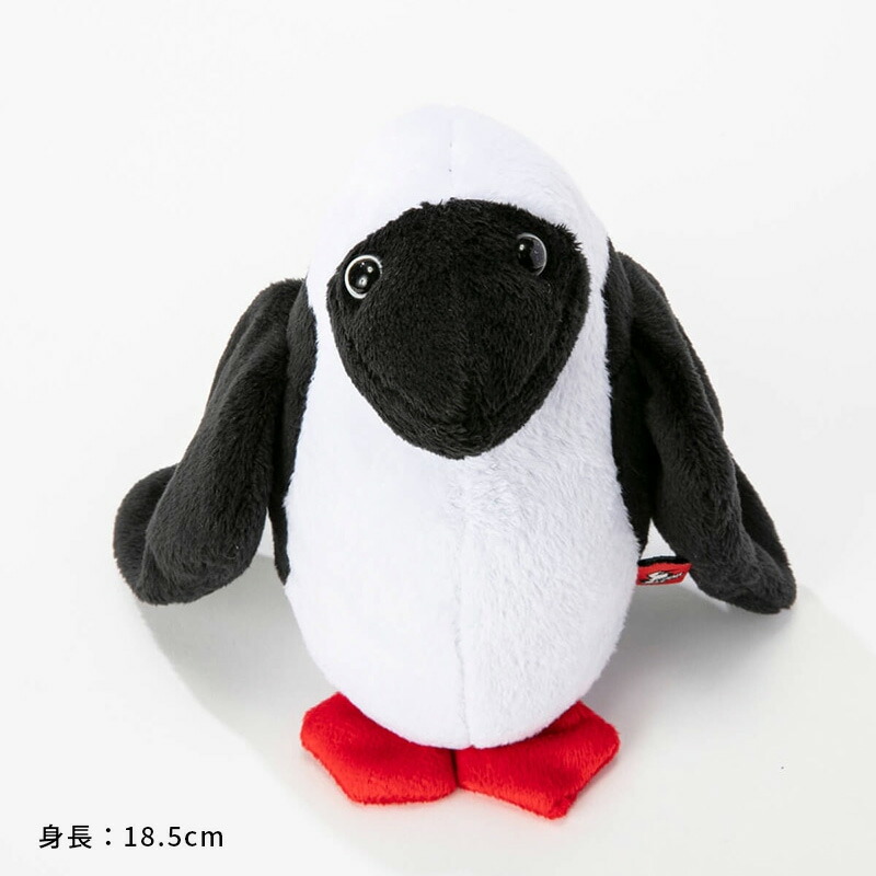 楽天市場】【土日祝配送可】 チャムス CHUMS ブービードール