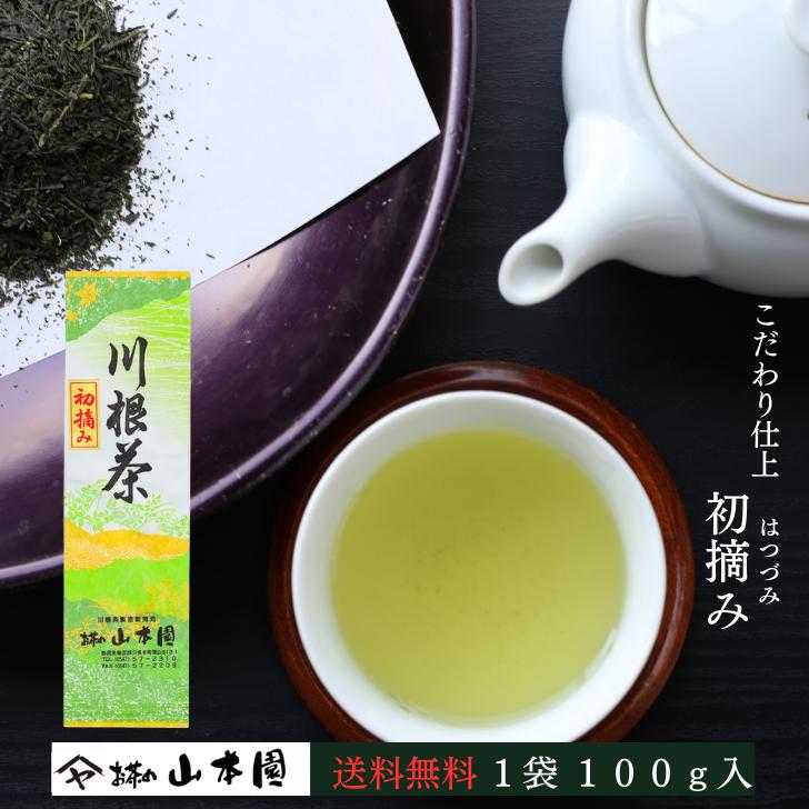 エルメス 100g（5g入り×20個）×10袋 健康長寿の川根茶 農家直売