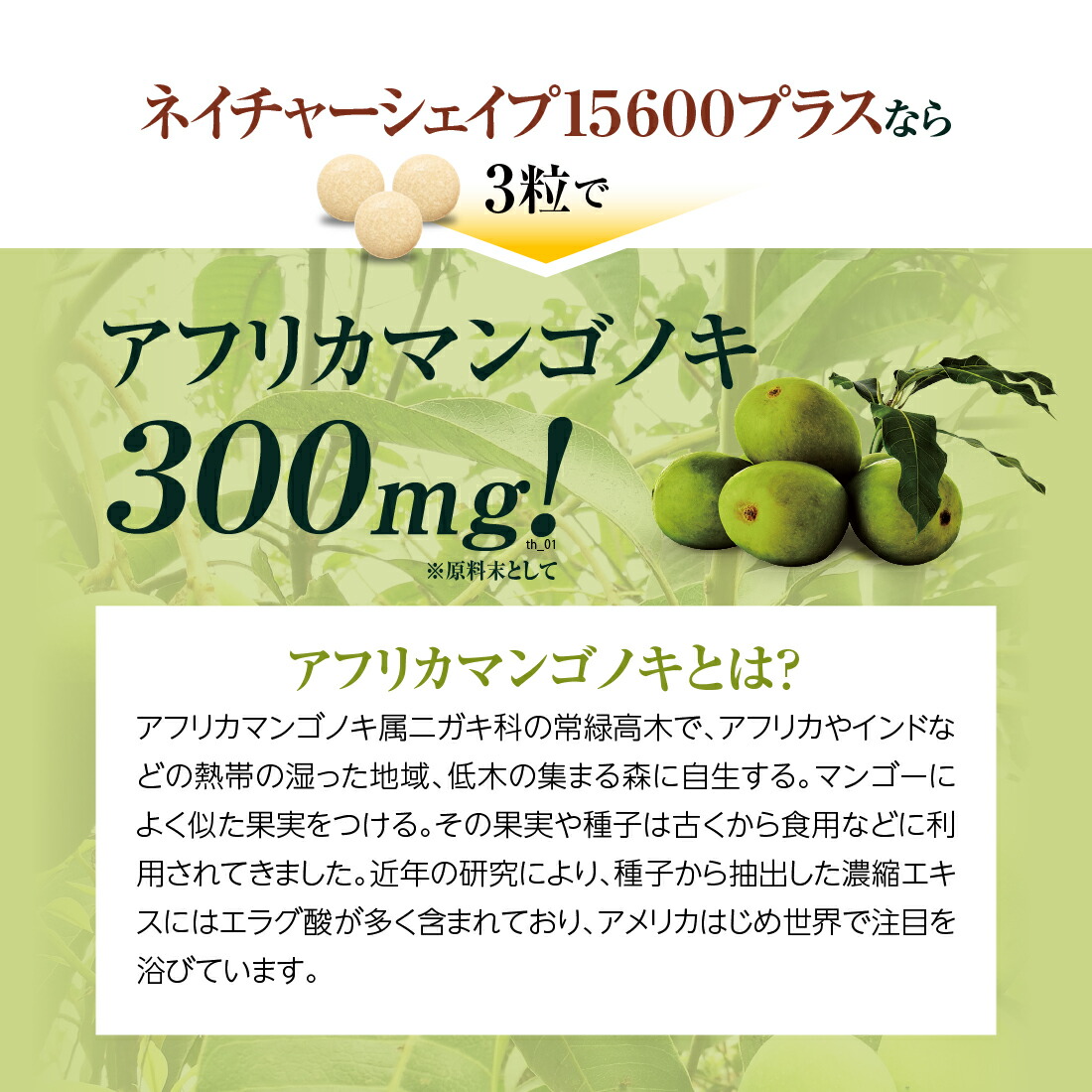 楽天市場】finebase ネイチャーシェイプ15600プラス 機能性表示食品