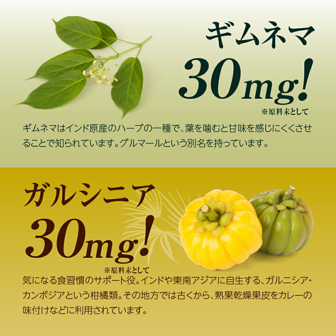 楽天市場】finebase ネイチャーシェイプ15600プラス 機能性表示食品