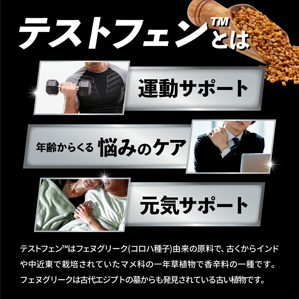 楽天市場】▽ FINESPORTS テストフェン18000 90粒30日分 筋肉づくりを