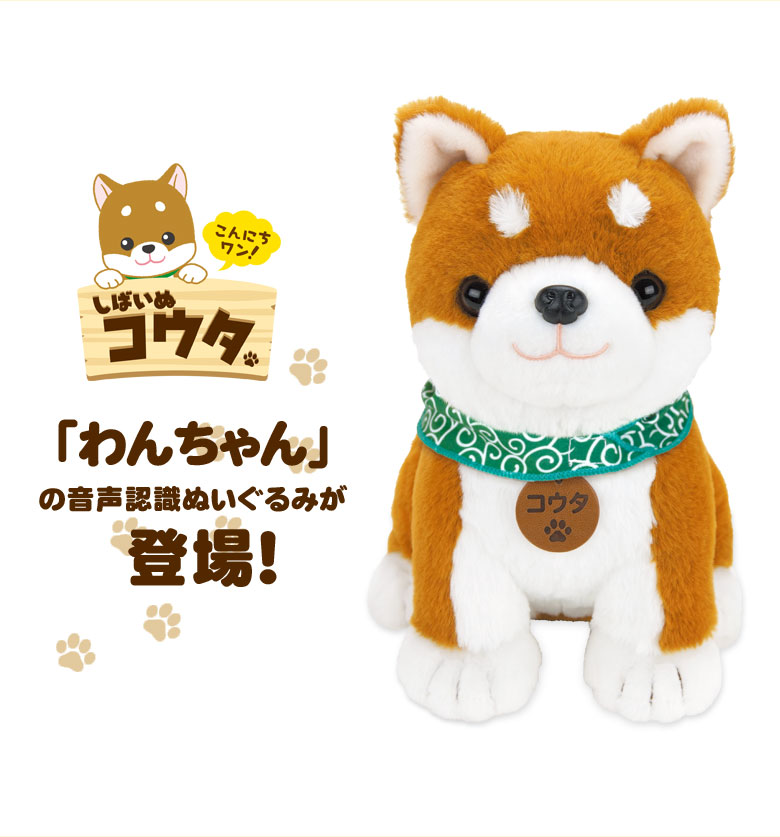 楽天市場】しばいぬコウタ【バンダナ付きセット】 しばいぬこうた 音声