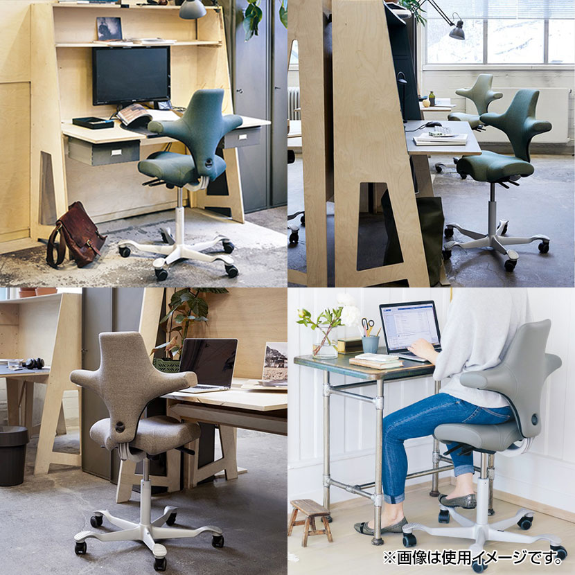 楽天市場】CP8106-150 1 HAG CAPISCO ホーグ カピスコ 布張り オフィス