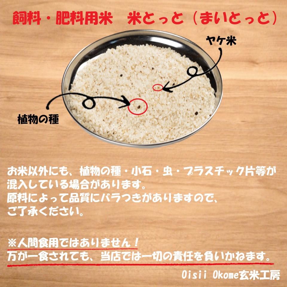 楽天市場】飼料 肥料 【飼料・肥料用米 米とっと 20Kg】白米 まいとっ