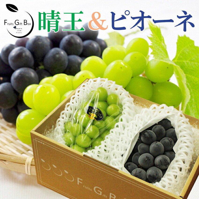 楽天市場】2025 ギフト岡山県産 シャインマスカット 晴王 ピオーネ 赤