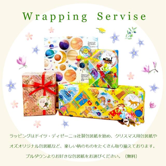 楽天市場】デュシマ社 ジグザグ積木 アトリエニキティキ Dusyma 積み木