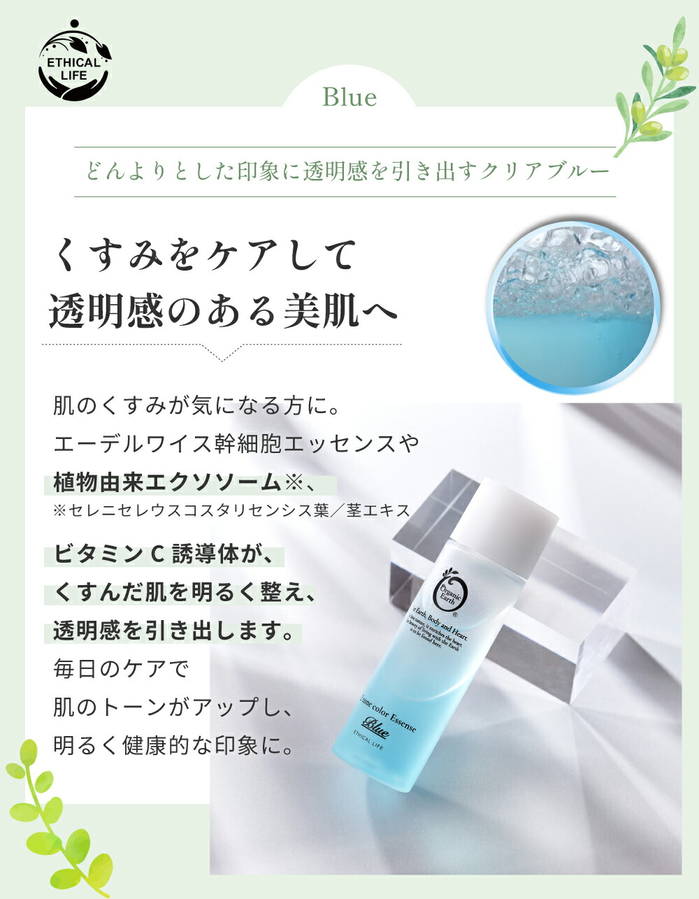 楽天市場】＼なんと69%OFF！！お一人様一回限り1,000円／ 【楽天1位12