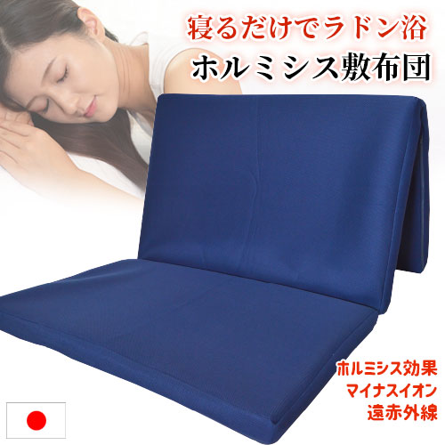 楽天市場】ホルミシス特殊パウダーを練り込んだ健康敷布団 3D
